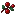 berries